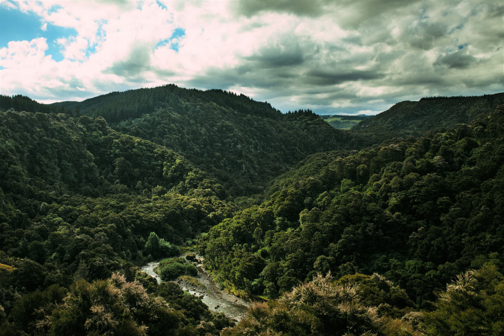 A river winding through a densely forested valley under a cloudy sky